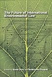 The future of international environmental law