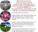 The Guerilla Marketing, Building Effective Lead Capture Web Pages, Affiliate Marketing for Health Products Businesses