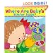 Where Are Baby's Easter Eggs?: A Lift-the-Flap Book (Karen Katz Lift-the-Flap Books)