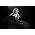 Thumbnail image of Shakira