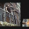 Sharon Jones & the Dap-Kings' video for "Tell Me" from the full-length album "100 Days, 100 Nights", filmed in Bushwick Brooklyn.  Directed by Adam Elias Buncher.