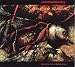 Anklicken zum Vergrößeren: Controlled Bleeding - Dub Songs from a Shallow Grave (Audio CD)