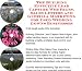 Book The Guerilla Marketing, Building Effective Lead Capture Web Pages, Sales Letters for Wedding Gowns Businesses