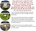 Search : Massive Cash Flow Pack with Make An Extra Income, Inner Game and Sales Models for Caller ID Boxes Web Businesses 3 CD Power Pack