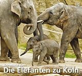 Produkt-Bild: Die Elefanten zu K&ouml;ln