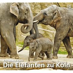 Die Elefanten zu K�ln