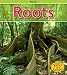 Book cover for 9781410934819