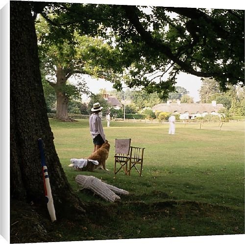 Canvas Prints of Cricket in Lyndhurst from Country Life 