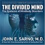 The Divided Mind: The Epidemic of Mindbody Disorders