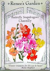 Snapdragons Butterfly Chantilly Seeds 75 Seeds