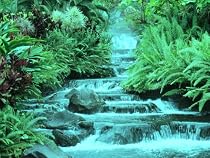 Click to Download Free Kindle Book -> Prayers for Success in Life