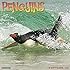 Penguins 2016 Wall Calendar