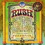 Feedback ~ Rush