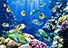 Leowefowa 7X5FT Under the Sea Backdrop Underwater World Backdrops for Photography Coral Fish Aquarium Vinyl Photo Background Interior TV Wallpaper 3D Kids Children Summer Party Studio Props