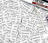 Erotic Fridge Magnet Poetry Set - Fridge Poetry