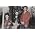 Thumbnail image of Yeasayer