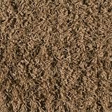 Shaw Super Chic Shag Area Rug Boogie Shoes