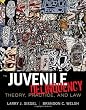 Juvenile Delinquency: Theory, Practice, and Law