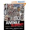 Juvenile Delinquency: Theory, Practice, and Law