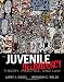 Juvenile Delinquency: Theory, Practice, and Law
