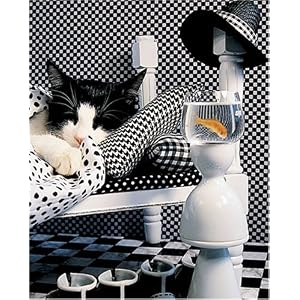 Springbok Checkerboard Cat 1000 Piece Jigsaw Puzzle by Springbok