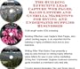 The Guerilla Marketing, Building Effective Lead Capture Web Pages, Sales Letters for Diving And Underwater Supplies Businesses
