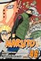 Naruto, Vol. 46: Naruto Returns