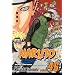 Naruto, Vol. 46: Naruto Returns