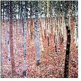 Beechwood Forest, 1903 Poster Print