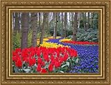 Picture Frame Gold Compo Scoop .. 2'' wide