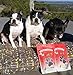 Dog Bark Naturals Beef Bark - All Natural Beef Jerky Dog and Puppy Treats, No Fillers, Responsibly Sourced and Made in The USA