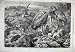 1868 Heronry Didlington Park Norfolk Birds Squirrel Art