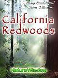 Living Landscapes California Redwoods