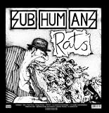 Rats And Time Flies