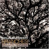 ｜Branches