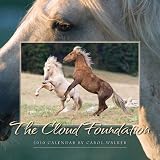 The Cloud Foundation 2010 Calendar