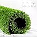 LITA Realistic Deluxe Artificial Grass Synthetic Thick Lawn Turf Carpet 3.3 FT x 5 FT (16.5 Square FT) -Perfect for indoor/outdoor Landscape