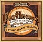 Ernie Ball 2061 Earthwood 5-string Banjo Frailing 80/20 Bronze Loop End gauges 10,13,15,24w,10
