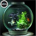 BiOrb 30l Aquarium Silver inc. Halogen Light