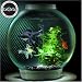 biOrb 30 lt coldwater with Halogen light