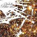 Blue star(在庫あり。)