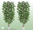 TWO 7' Artificial Silver Birch Trees with Real Wood Trunks