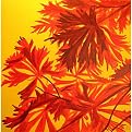 Outdoor Art - Maple Madness by John Birch (22x22")