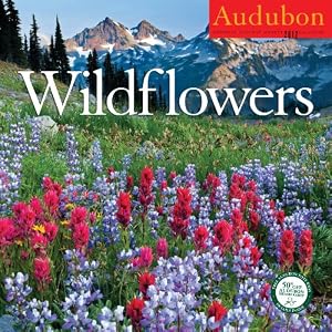 Audubon Wildflowers Calendar 2012 Wall Calendar