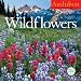 Audubon Wildflowers Calendar 2012 (Wall Calendar) by Workman Publishing