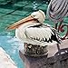 Design Toscano of The Bay Pelican Statue (Set of 2)