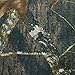 Tuxedo Park Camouflage Neck Tie