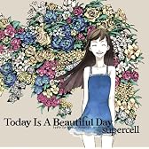 Today Is A Beautiful Day