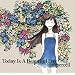 Today Is A Beautiful Day