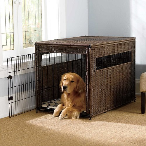 Resin Wicker Dog Crate Medium Improvements Gladys J. Paigeet